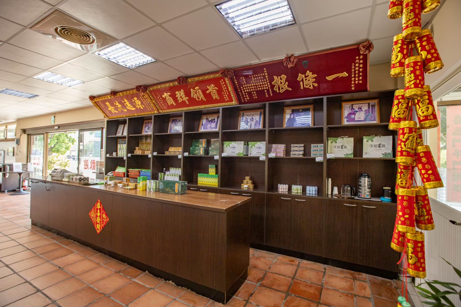 天根草典一條根